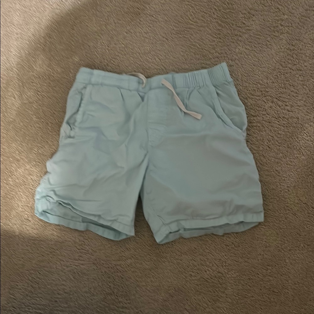 Light Blue Casual Shorts